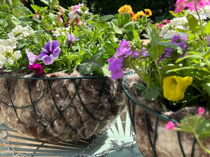 Hortiwool Hanging Basket Liners