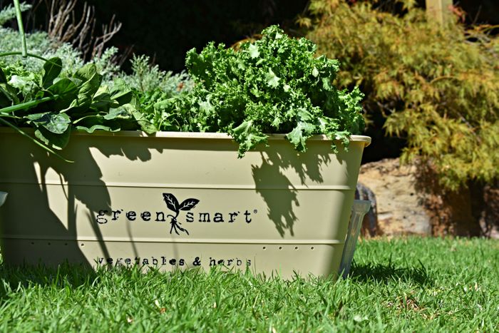 Greensmart Pots