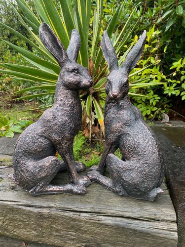 March Hare pair