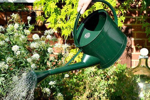 9L garden watering can from Burgon & Ball