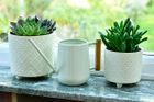 Burgon & Ball indoor pots, watering cans and misters