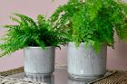 Burgon & Ball indoor pots, watering cans and misters