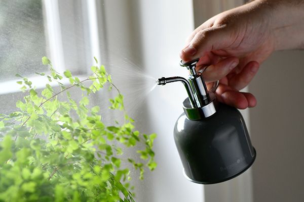 Indoor plant misters from Burgon & Ball
