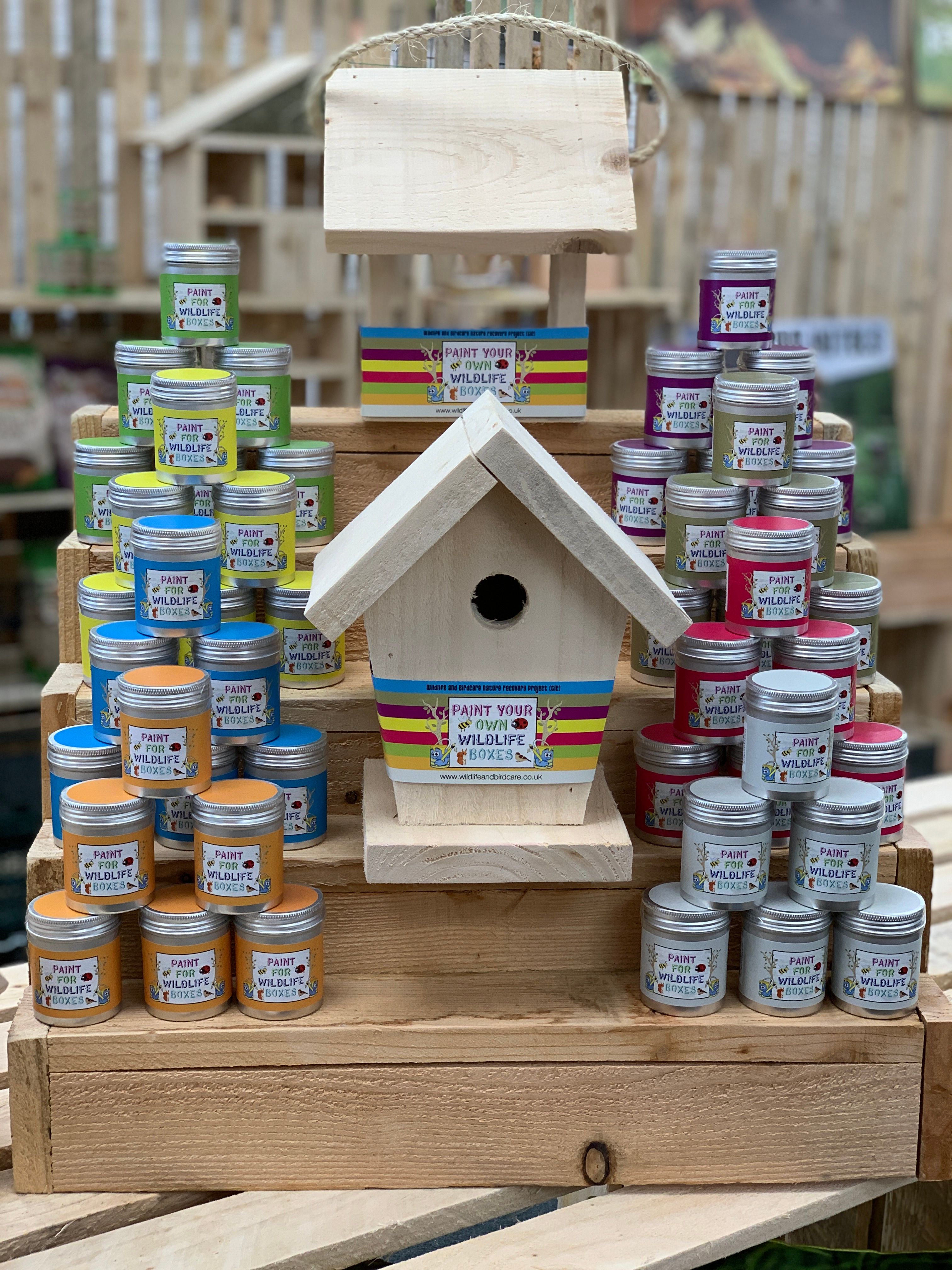 Paint your Own Wildlife Box