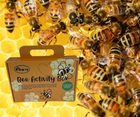Bee Activity Box