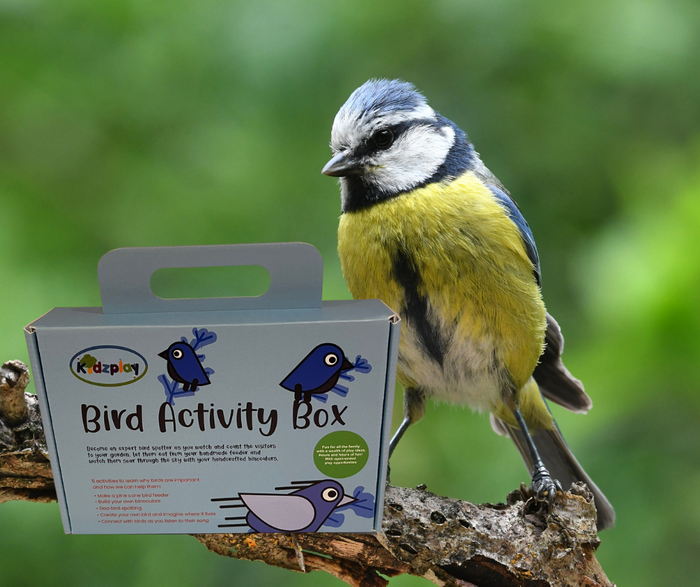 Bird Activity Box