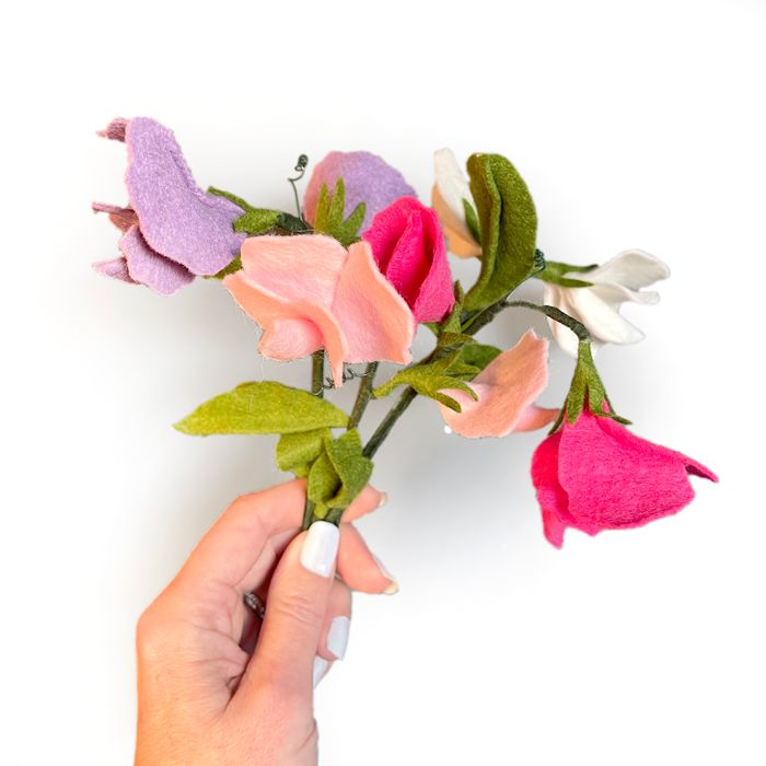 Everlasting flowers