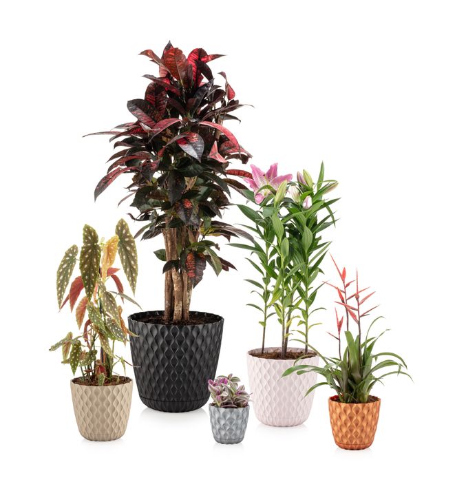 COP / Circular Orchid Pots