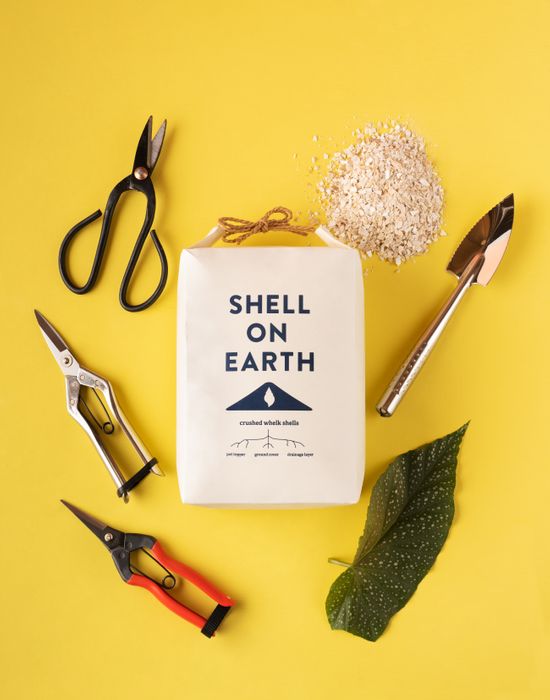 Shell on Earth Small 3Kg Bag