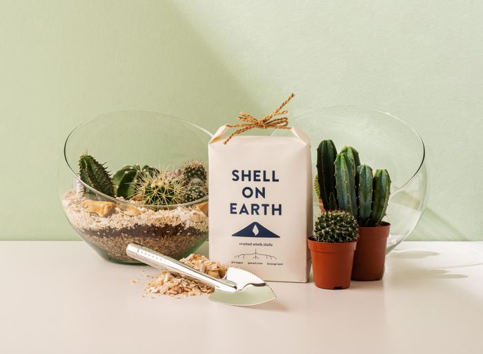 Shell on Earth Mini 1Kg Bag