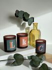 Initial Candles