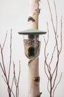 FeedR - feeder for wild birds