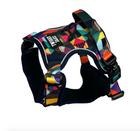 Adventure Harness