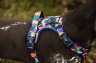 Adventure Harness