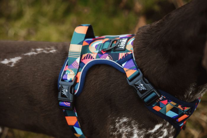 Adventure Harness