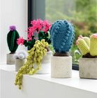 Crocheted Succulents