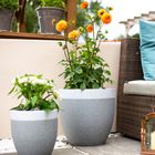 Granito Two-Toned Planter (Apta)