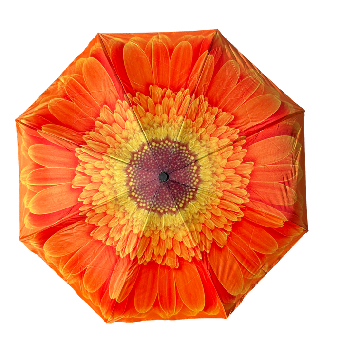 Soake Everyday Inside out umbrella collection