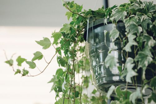 Hanging Basket Drip Pans