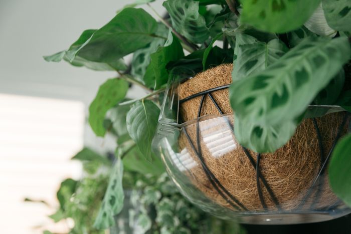 Hanging Basket Drip Pans