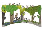 RSPB Woodland Birds Set