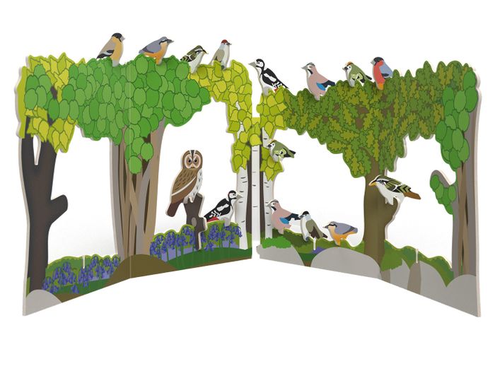 RSPB Woodland Birds Set