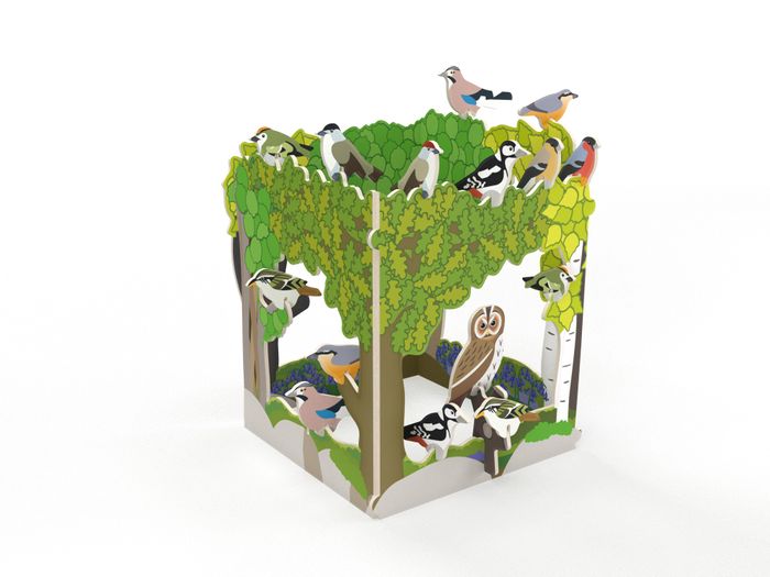 RSPB Woodland Birds Set