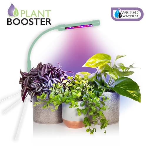 Plant Booster Grow Light