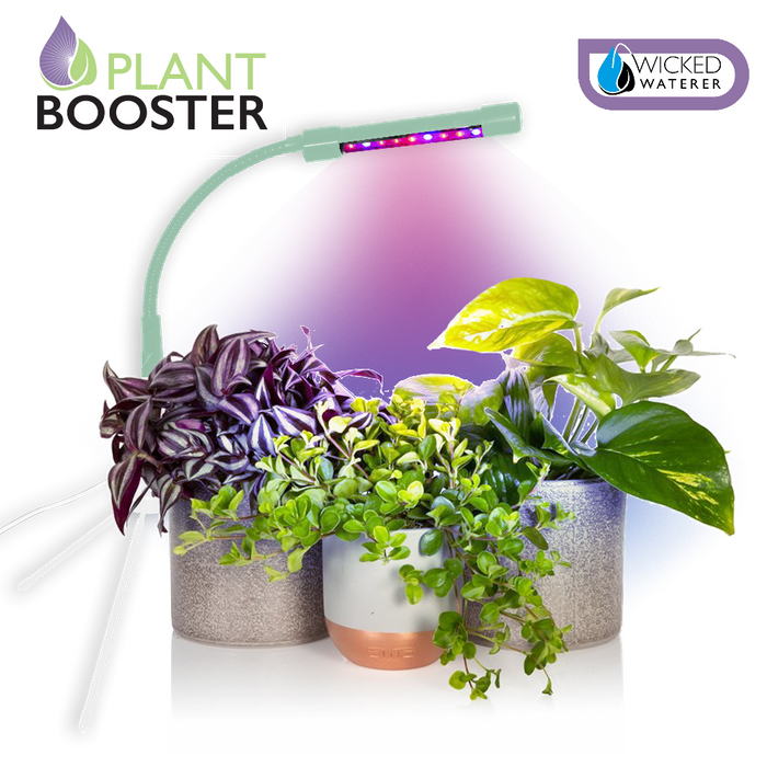 Plant Booster Grow Light