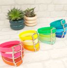 Waterproof BioThane Dog Collar