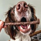 Pure Meat Sticks & Training Treats