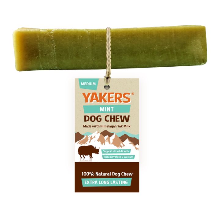 YAKERS Himalayan Dog Chew Mint Medium Glee Birmingham 2023
