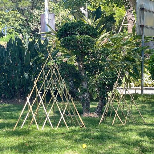 Bamboo Teepee Trellis Pyramid Plant Climbing Obelisk Trellis