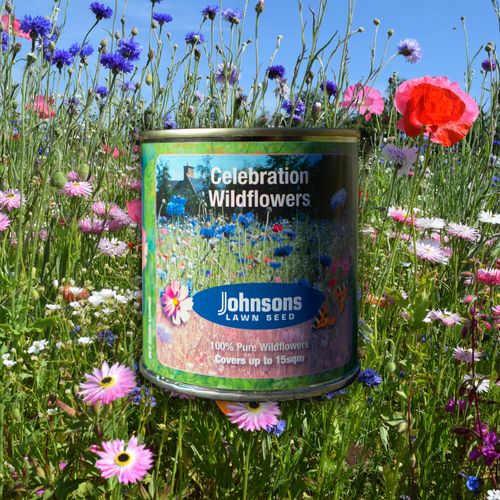 Celebration Wildflower Seed Tins - 50g