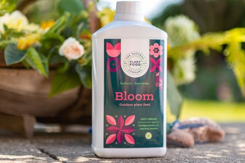 Bloom Outdoor Plant Feed
