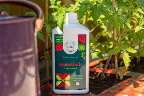 Beanstalk Fruit & Veg Feed