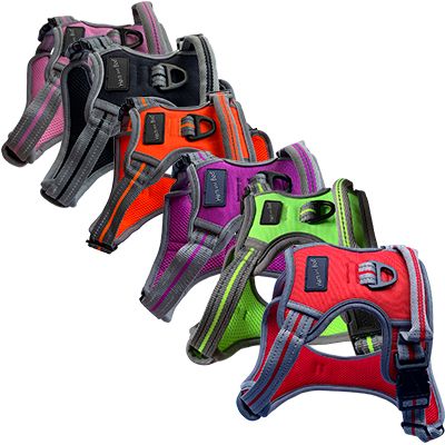 Sports Range - Harnesses, Collars, Training Leads and Leads