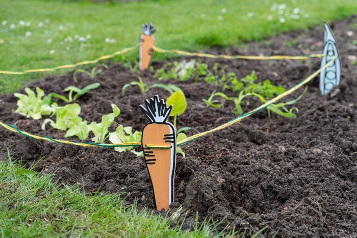 RHS Growing Gardeners: a new concept in family gardening