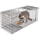 Animal Cage Trap