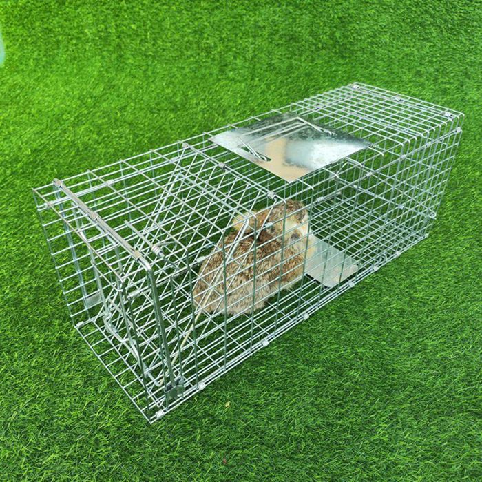 Animal Cage Trap