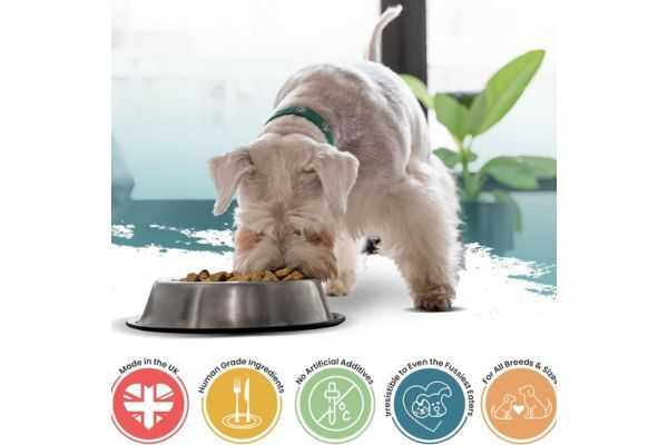 CHICKEN & BUTTERNUT SQUASH DRY DOG FOOD 5kg