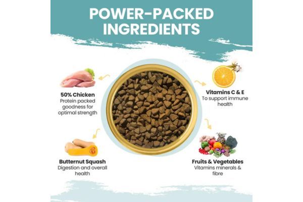 CHICKEN & BUTTERNUT SQUASH DRY DOG FOOD 5kg