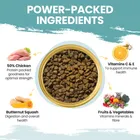 CHICKEN & BUTTERNUT SQUASH DRY DOG FOOD 5kg