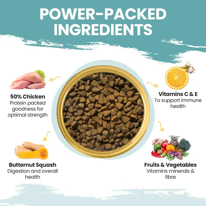CHICKEN & BUTTERNUT SQUASH DRY DOG FOOD 5kg