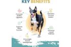 CHICKEN & BUTTERNUT SQUASH DRY DOG FOOD 1.5kg