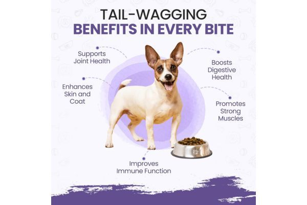 LAMB AND BUTTERNUT SQUASH WITH GREEN LIPPED MUSSEL DRY DOG FOOD 5KG
