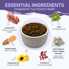 LAMB AND BUTTERNUT SQUASH WITH GREEN LIPPED MUSSEL DRY DOG FOOD 5KG