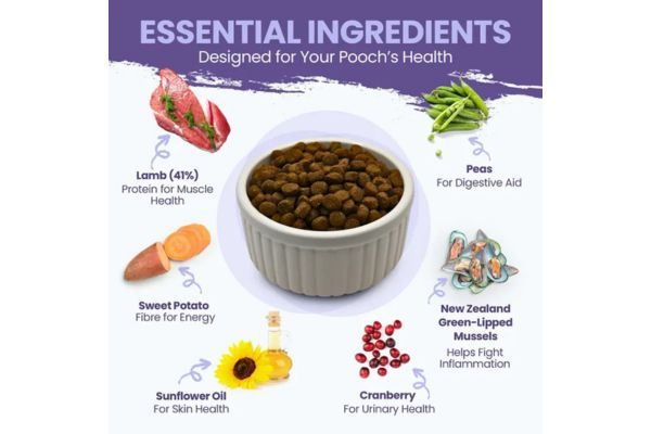 LAMB AND BUTTERNUT SQUASH WITH GREEN LIPPED MUSSEL DRY DOG FOOD 1.2kg
