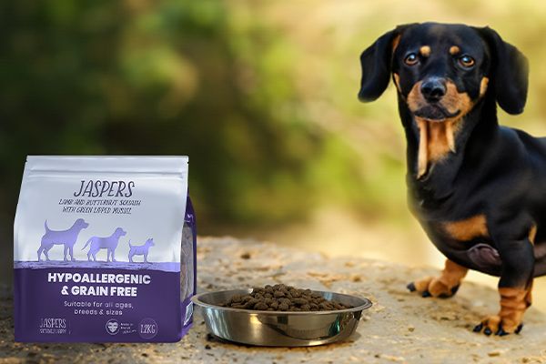 LAMB AND BUTTERNUT SQUASH WITH GREEN LIPPED MUSSEL DRY DOG FOOD 1.2kg