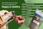 Simply Jaspers Luxury Collection Treats